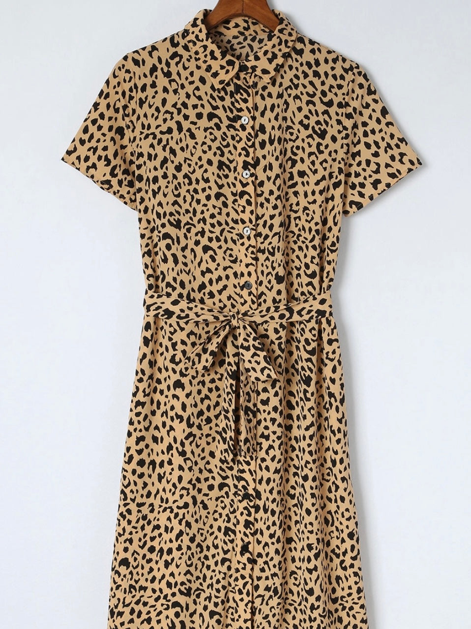 Spotted Button Down Dress