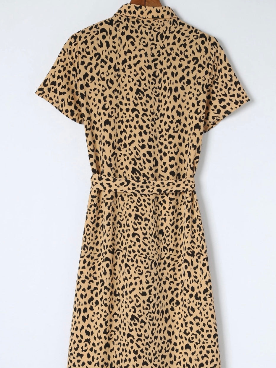 Spotted Button Down Dress
